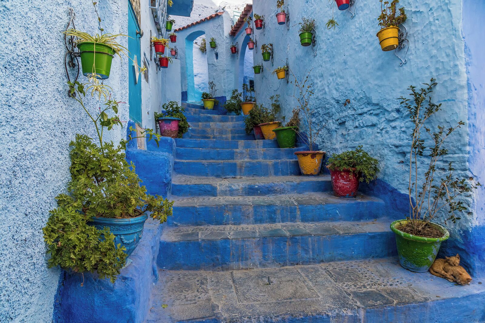 A highlight of my trip to Morocco was a visit to the "blue city" of Chefchaouen, with its endlessly charming and overwhelmingly photographic blue streets. This particular location calls for significant patience as you wait for a steady stream of tourists to have their photo snapped on this picture perfect staircase, complete with tiny napping orange kittens.
