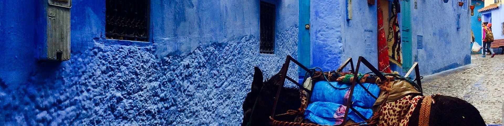 Donkey in the blue city!