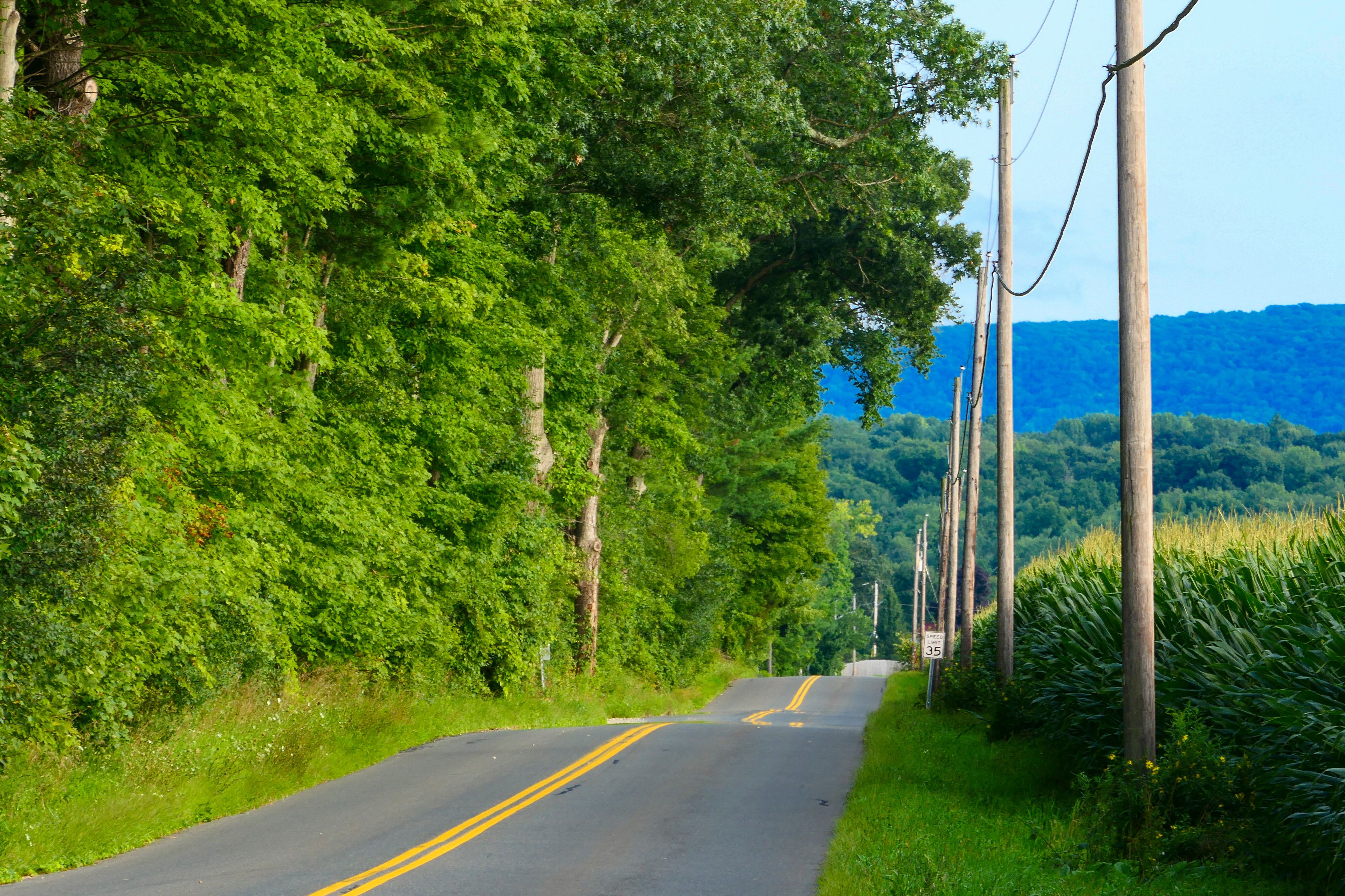 Colebrook