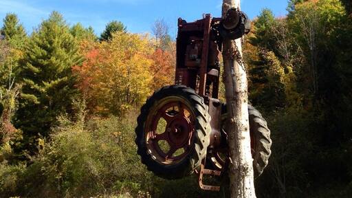 A tractor up a tree! And, there's a picnic table underneath.