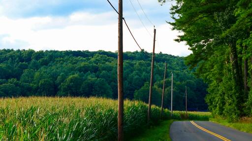 Colebrook, Connecticut USA A country road along the cornfields