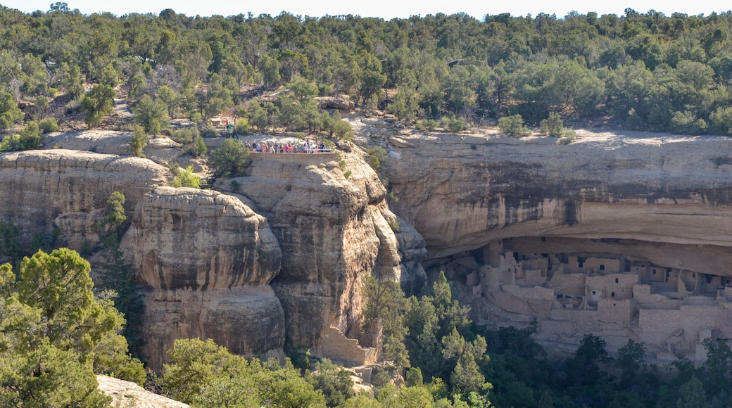 Cliff Palace in Cliff Canyon on Chapin Mesa (Mesa Verde National Park, Colorado, USA)