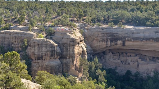 Cliff Palace in Cliff Canyon on Chapin Mesa (Mesa Verde National Park, Colorado, USA)