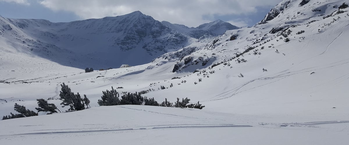 Paesaggio montano innevato con cielo sereno e pochi alberi sparsi.