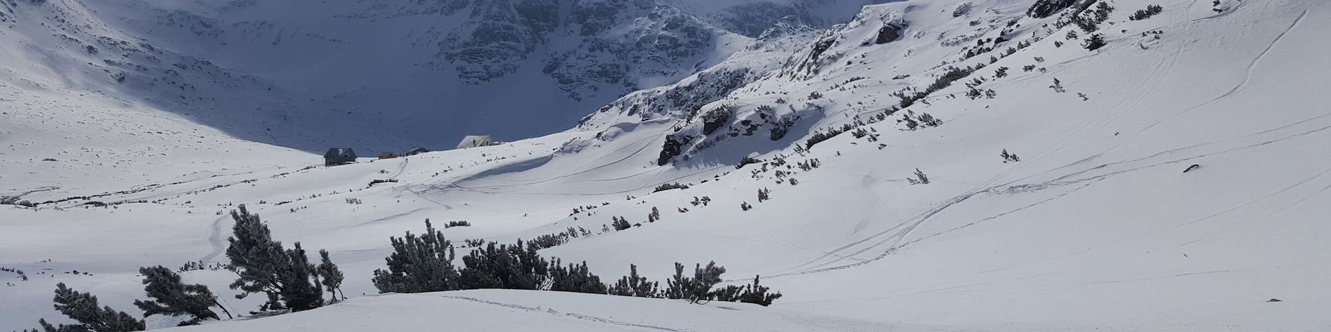 A snow-covered mountain landscape with a clear sky and a few scattered trees.
