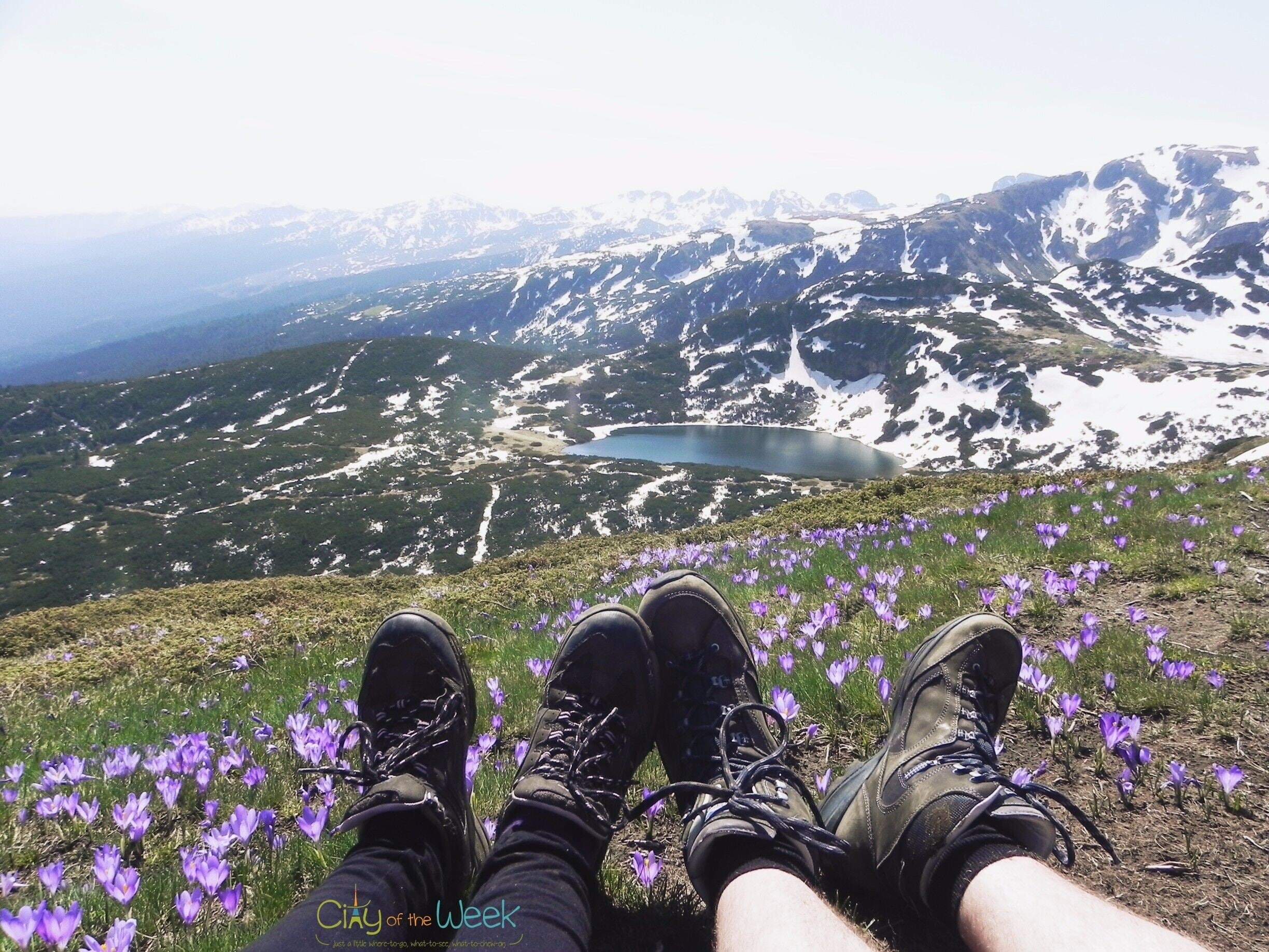 A pair of hiking boots on a grassy hill with purple flowers, overlooking a mountain range and a lake.