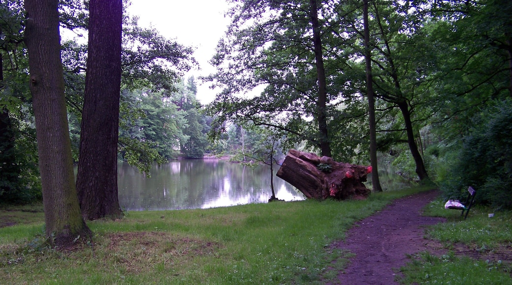 Teplice, Teplice District, Ústí nad Labem Region, Czech Republic. Castle garden, a path to the Lower Pond.