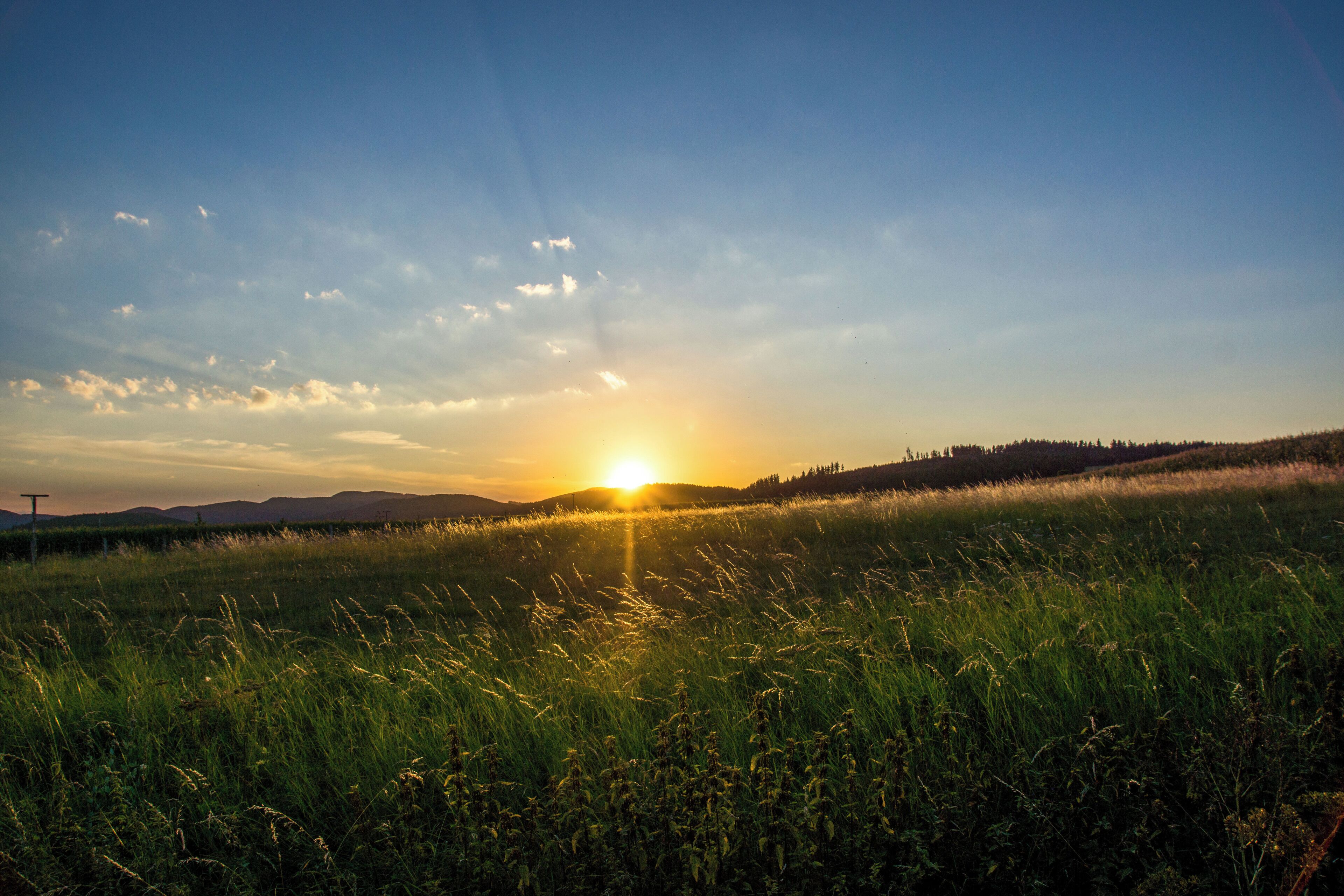 A sunset over a grassy field with distant hills.