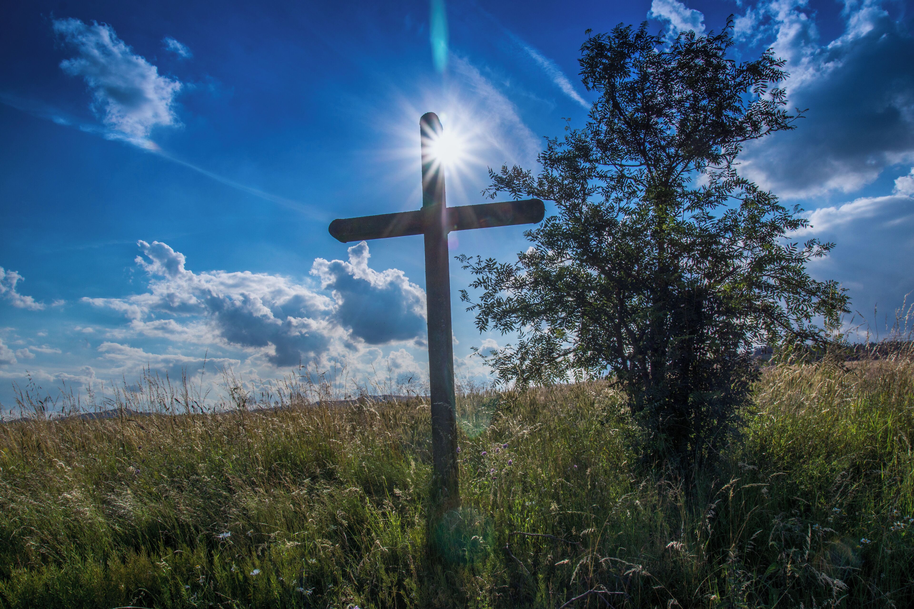 A wooden cross in a grassy field with a tree to the right and a clear blue sky with clouds.