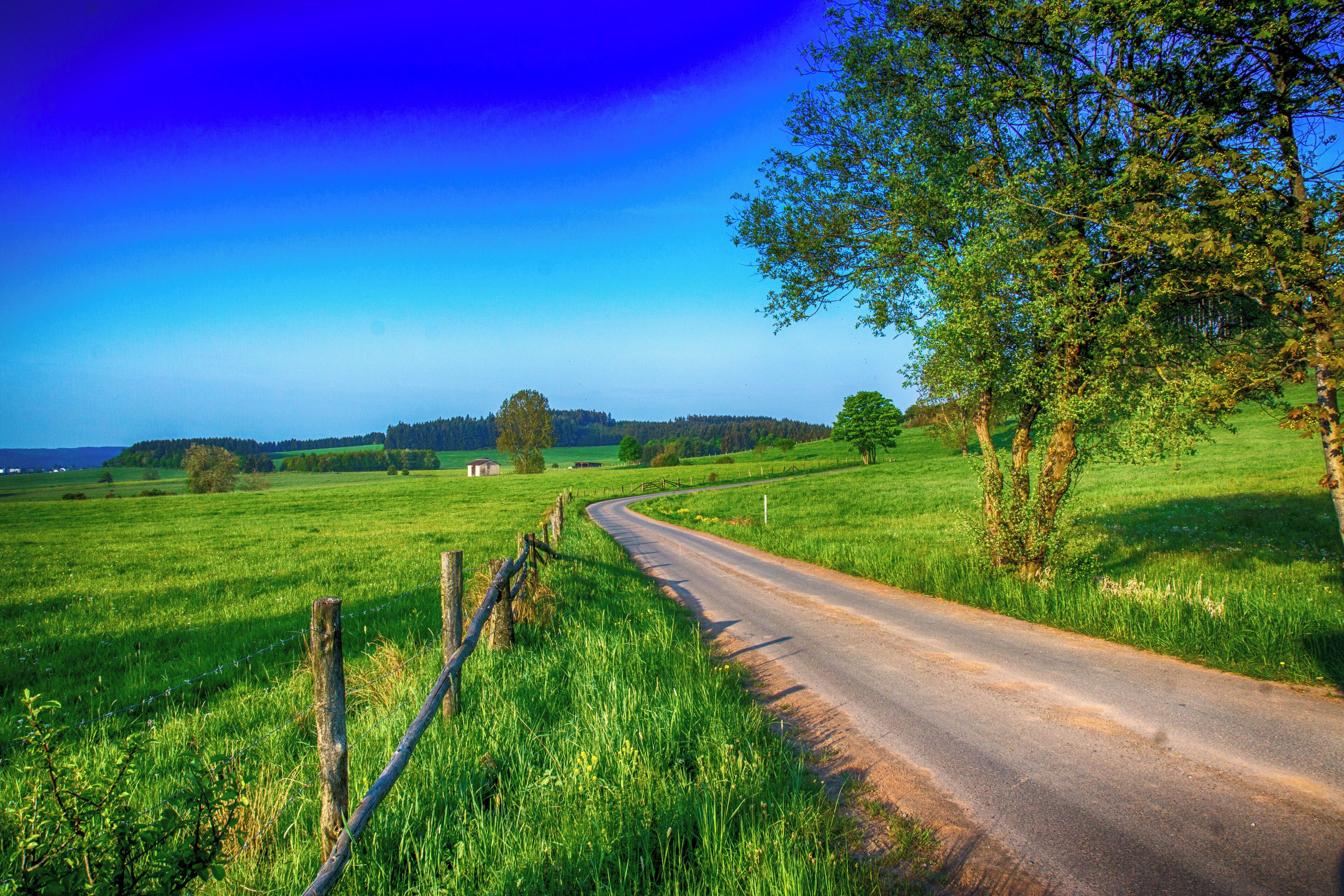 A rural road curving through a green field with trees on the right and a clear blue sky.
