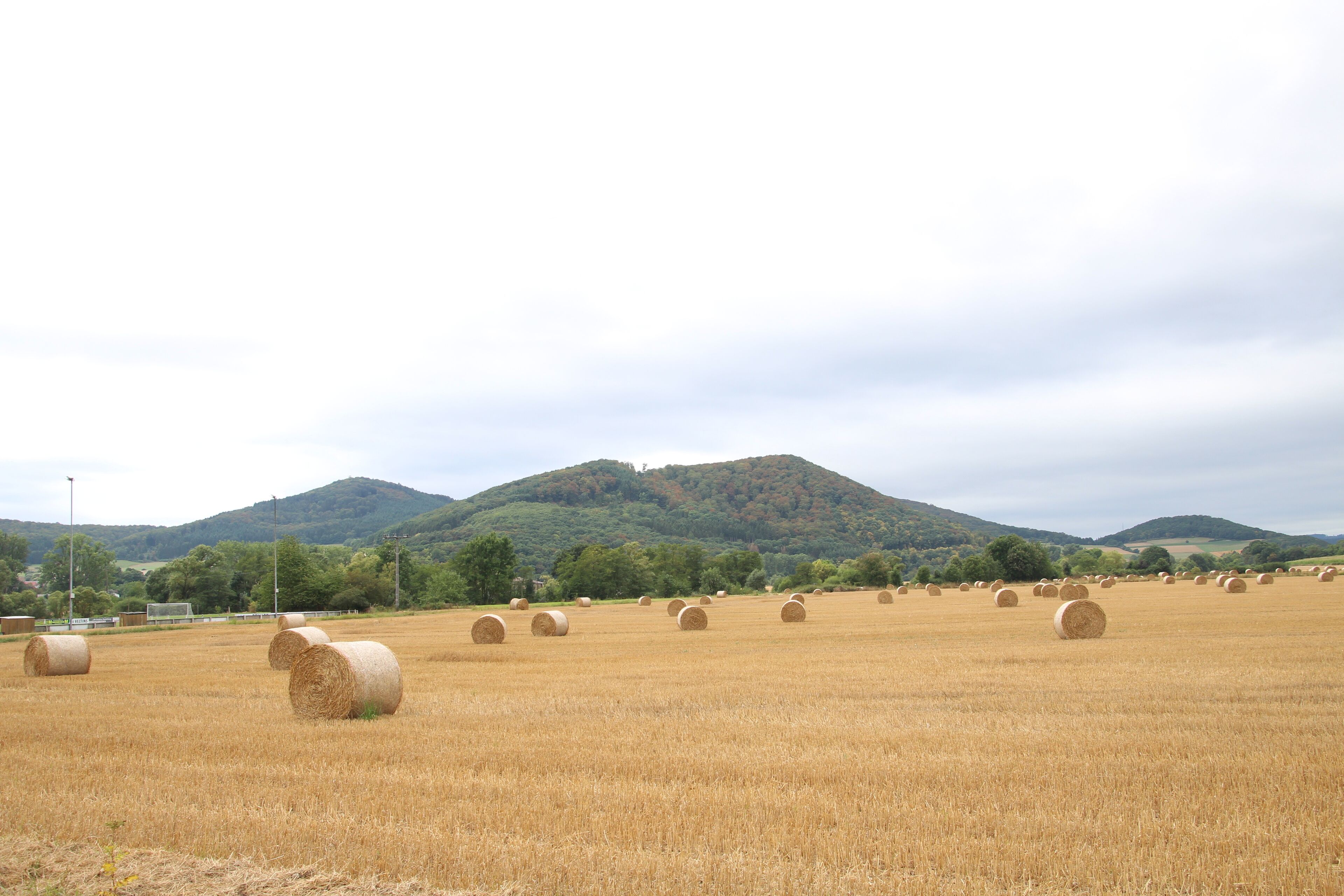 This is a picture of the protected area listed at WDPA under the ID
