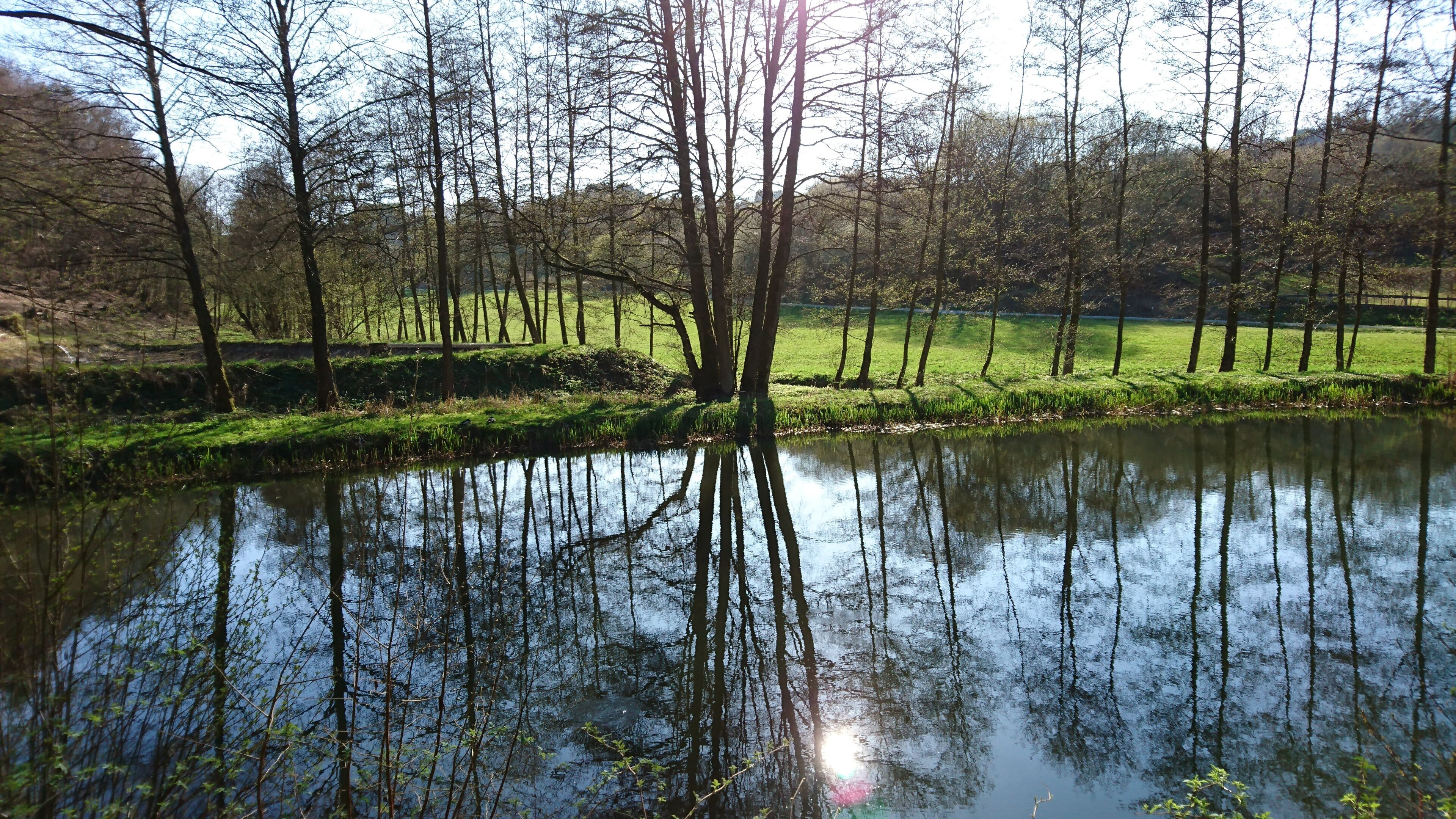 Der Fischweiher in 35080 Bad Endbach (09.04.2017)