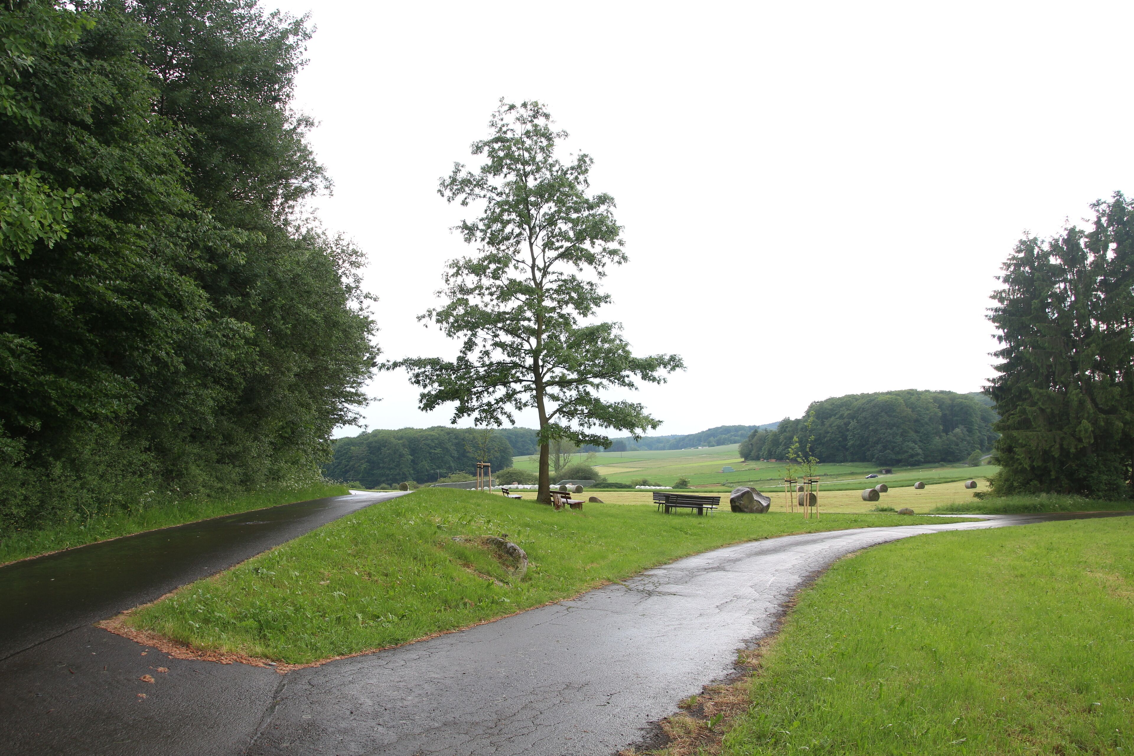 Siehe Bild und Dateiname