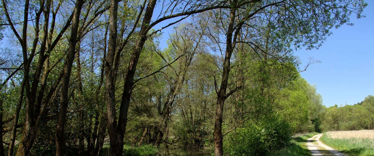 Landscape Protection Area "Auenverbund Fulda" near Marbach Grubenmuehle, Petersberg, Hesse, Germany