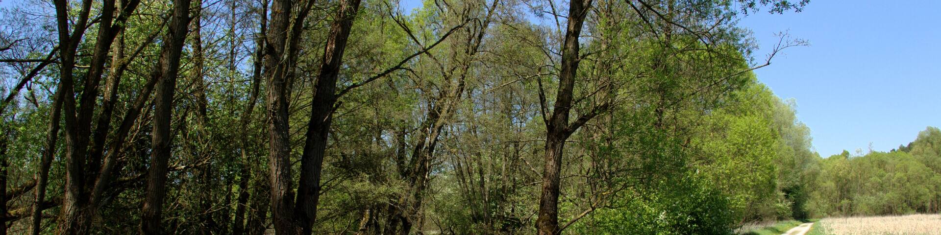 Landscape Protection Area "Auenverbund Fulda" near Marbach Grubenmuehle, Petersberg, Hesse, Germany