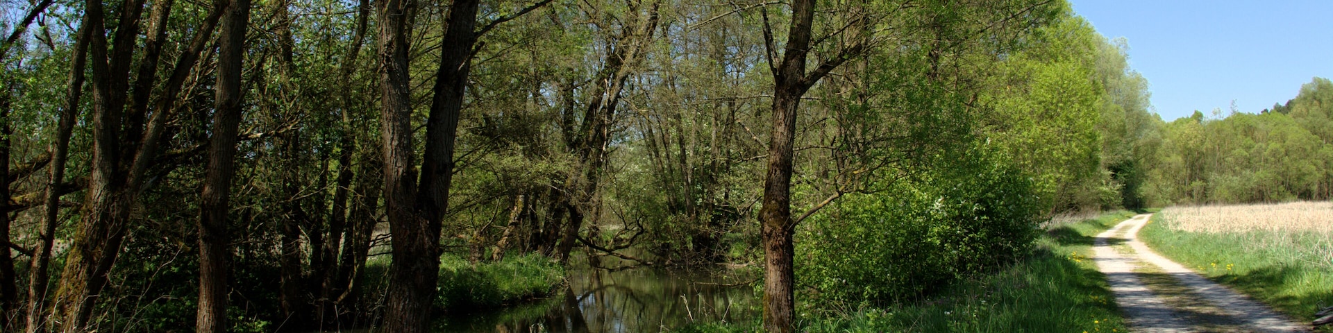 Landscape Protection Area "Auenverbund Fulda" near Marbach Grubenmuehle, Petersberg, Hesse, Germany