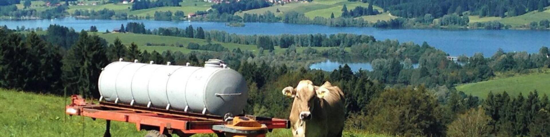 Haag - Oy Mittelberg