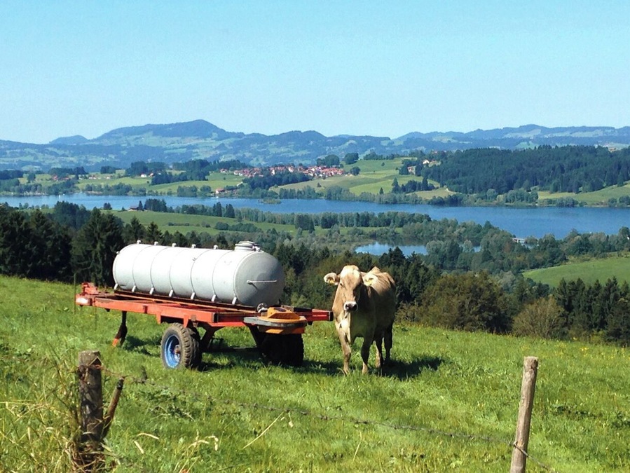 Haag - Oy Mittelberg