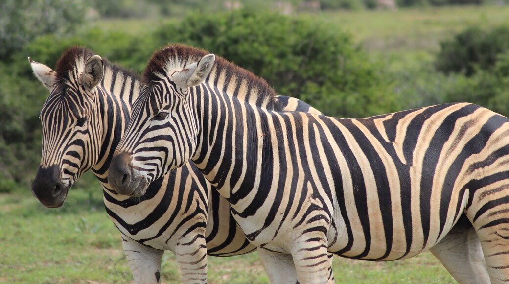 Welcoming party on arrival