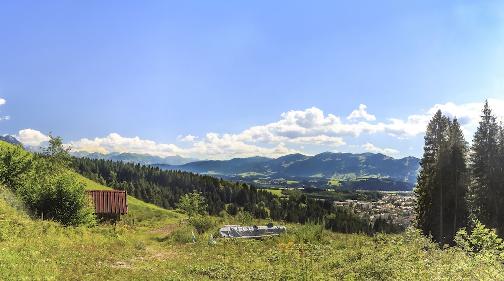 Blick über Sonthofen