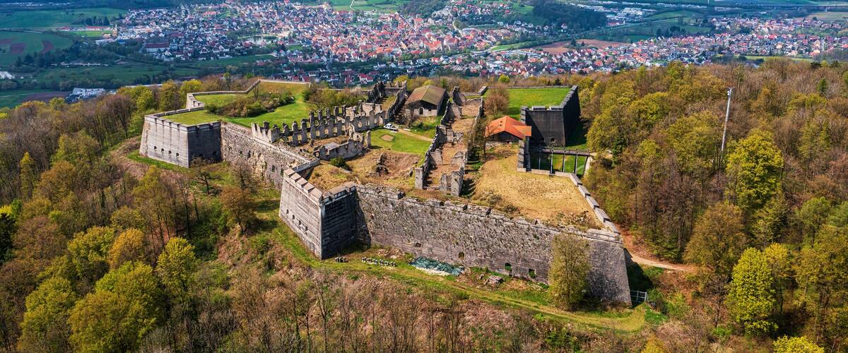 A historic castle surrounded by forest, overlooking a town.