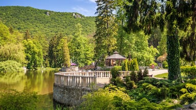 Park with a lake in the spa town Rajecke Teplice in Slovakia, Europe.