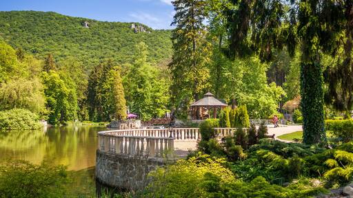 ๋ผ์์ผ ํ
ํ๋ฆฌ์ฒด