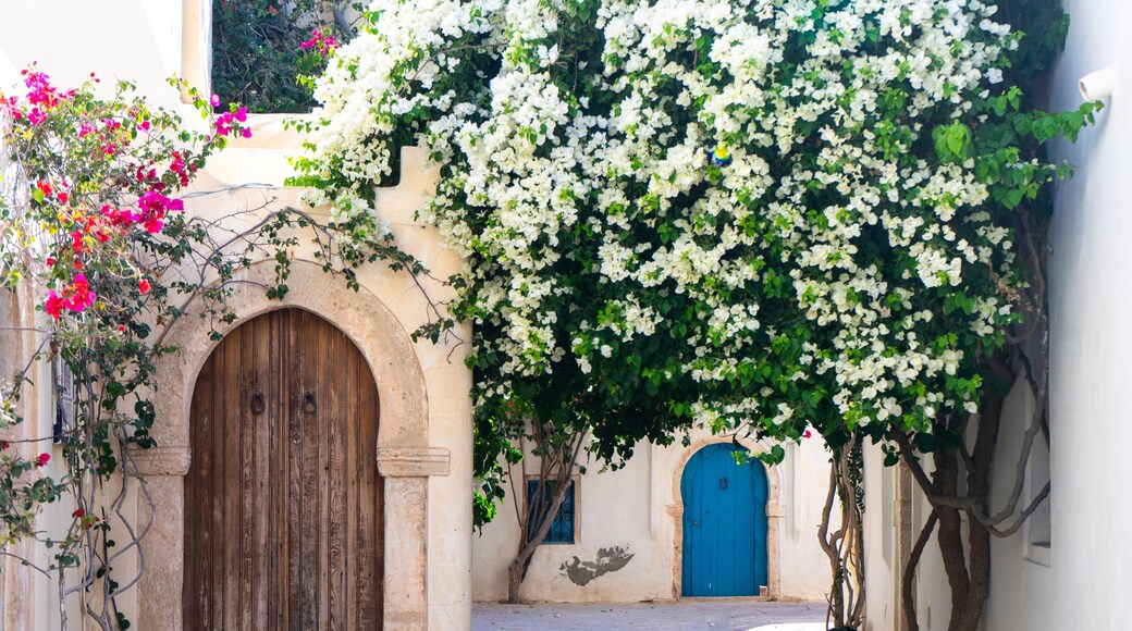 Tunisia. (Southern Tunisia). Island of Djerba. Erriadh. Flowering bougainvillea in a village alley