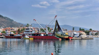 A harbor with fishing boats, a crane, and a mountainous backdrop.
