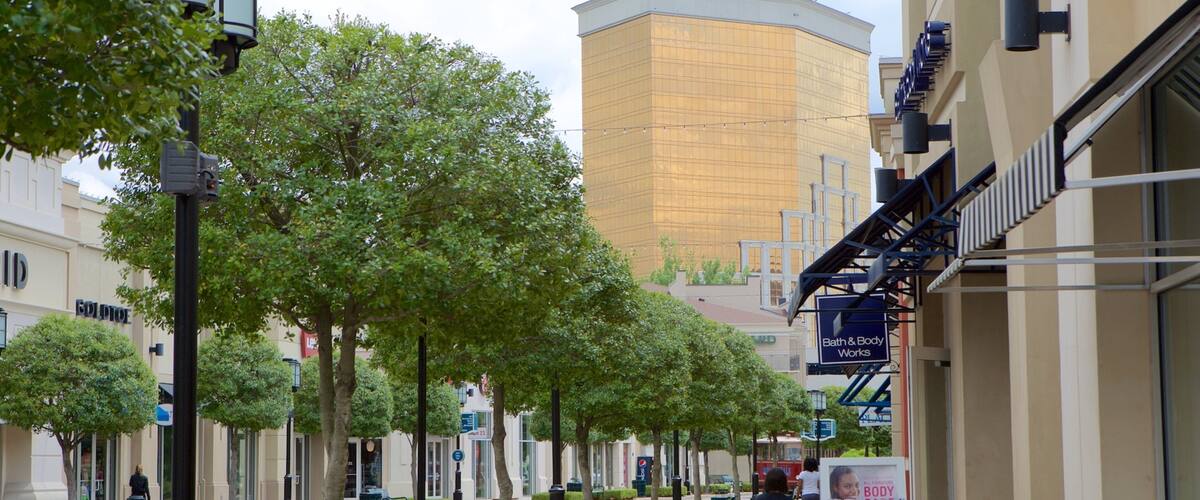 Louisiana Boardwalk featuring katunäkymät