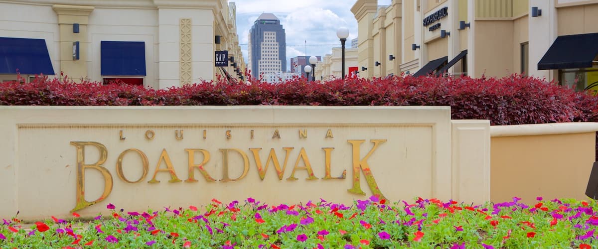 Louisiana Boardwalk which includes flowers and signage