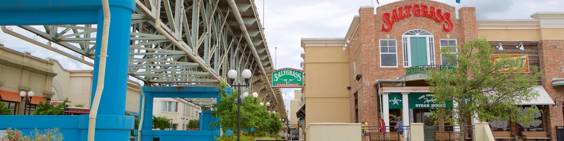 Louisiana Boardwalk showing a garden