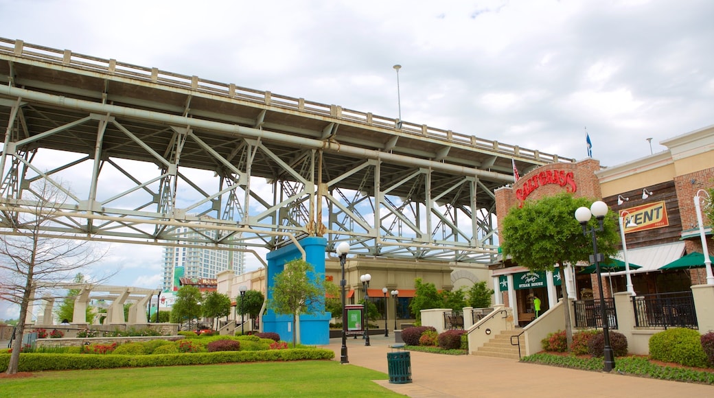 Louisiana Boardwalk showing a garden