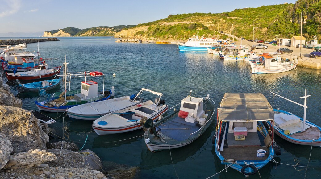 ์๊ธฐ์ค์ค ์คํ
ํ๋
ธ์ค