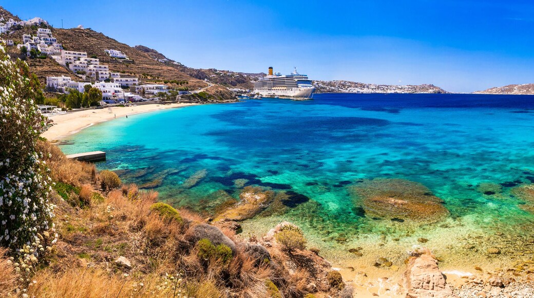 ์๊ธฐ์ค์ค ์คํ
ํ๋
ธ์ค