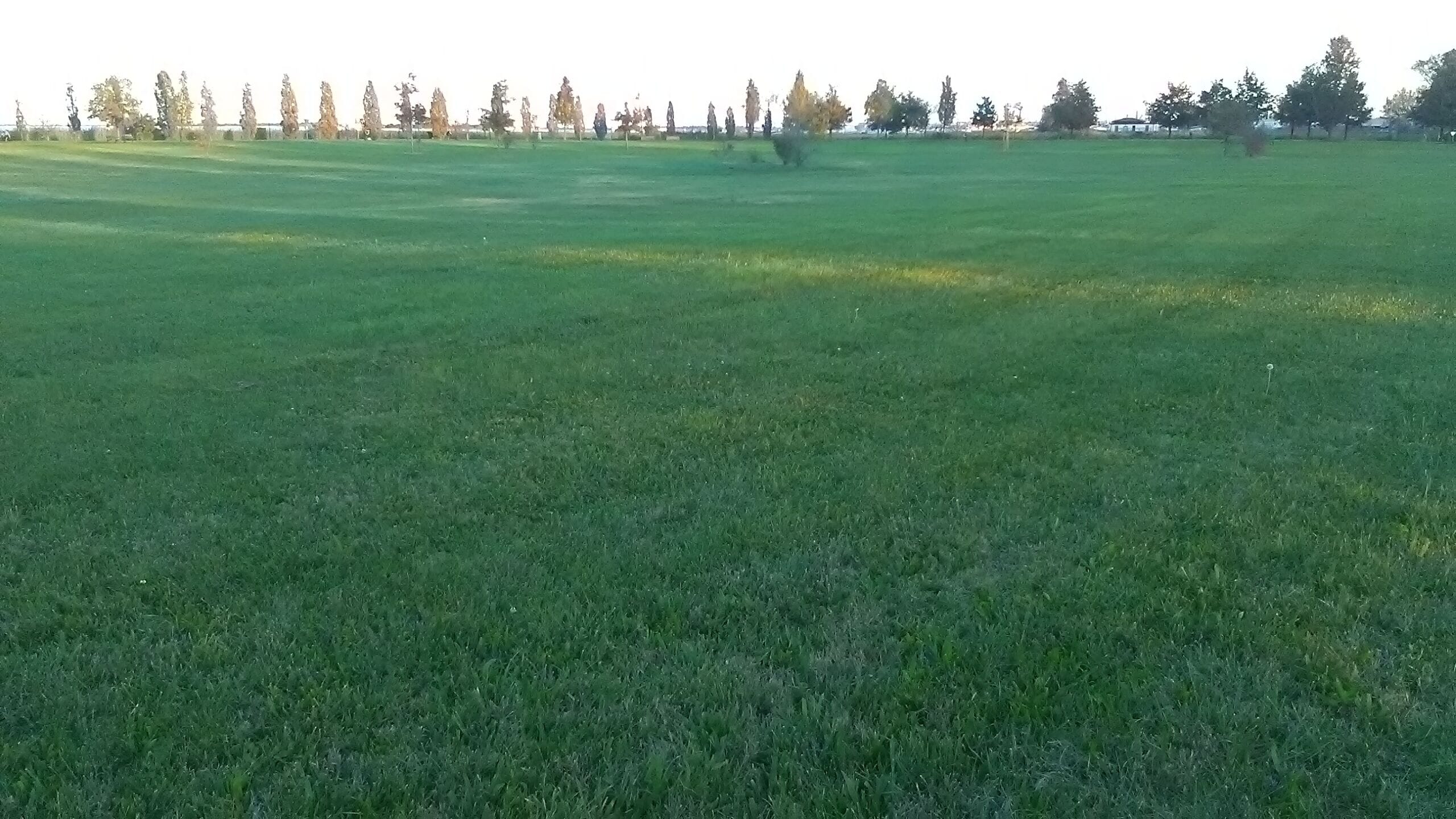 Parco San Giuliano (Mestre)