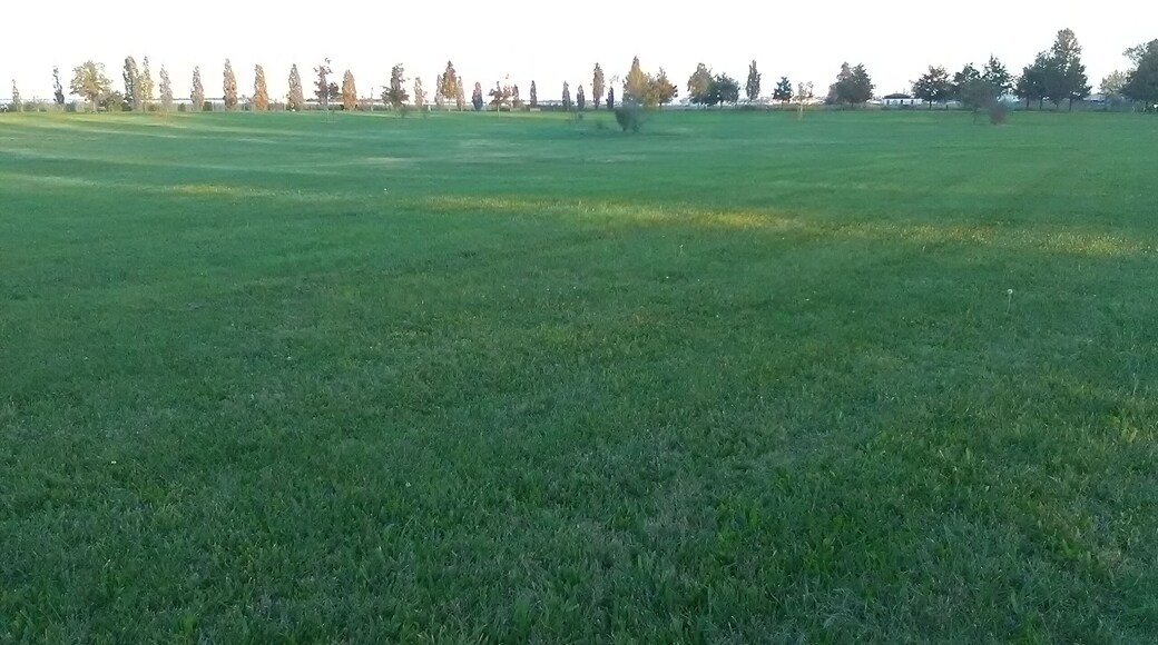 Parco San Giuliano (Mestre)