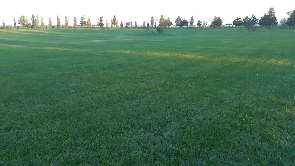 Parco San Giuliano (Mestre)