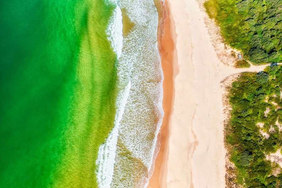 Ein Strand mit klarem türkisblauem Wasser, einem sandigen Ufer und dichter, grüner Vegetation.