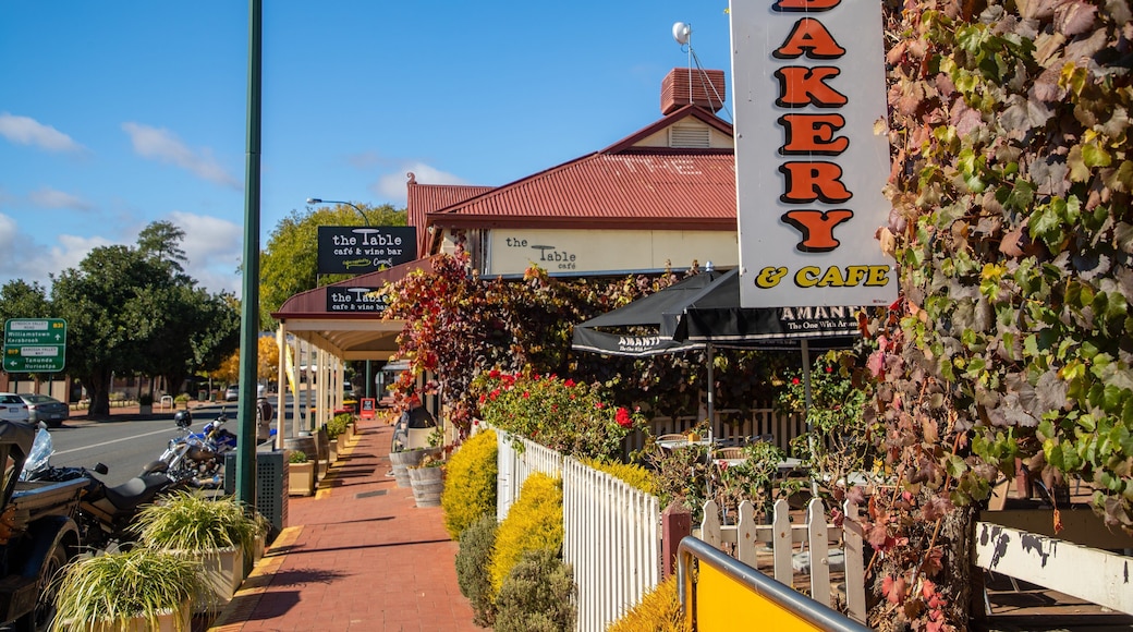 Lyndoch which includes signage and a small town or village
