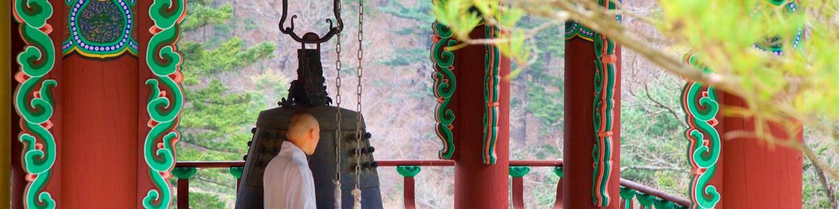 Pyeongchang featuring heritage elements as well as an individual male