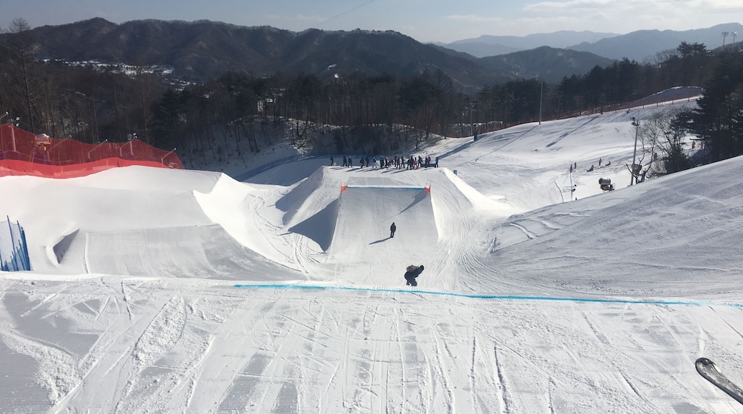 The Bogwang Phoenix Park during the 2018 Winter Olympics.