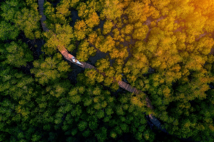 Asian woman sleep on Wooden Bridge with mangrove tree in Tung Prong Thong, Spurred Forest Klaeng at Prasae, Rayong province, Thailand.