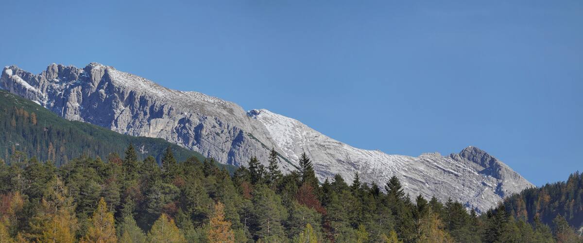 A mountain with a forested foreground and a clear blue sky.
