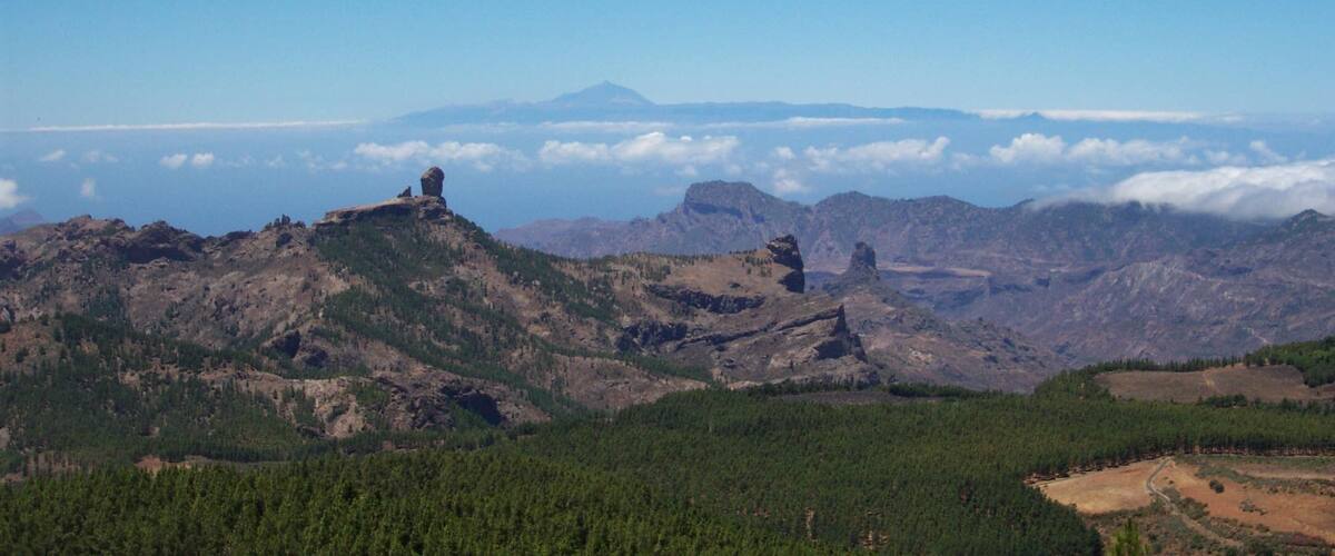 A mountainous landscape with clear skies, a bird flying, and a distant mountain range.