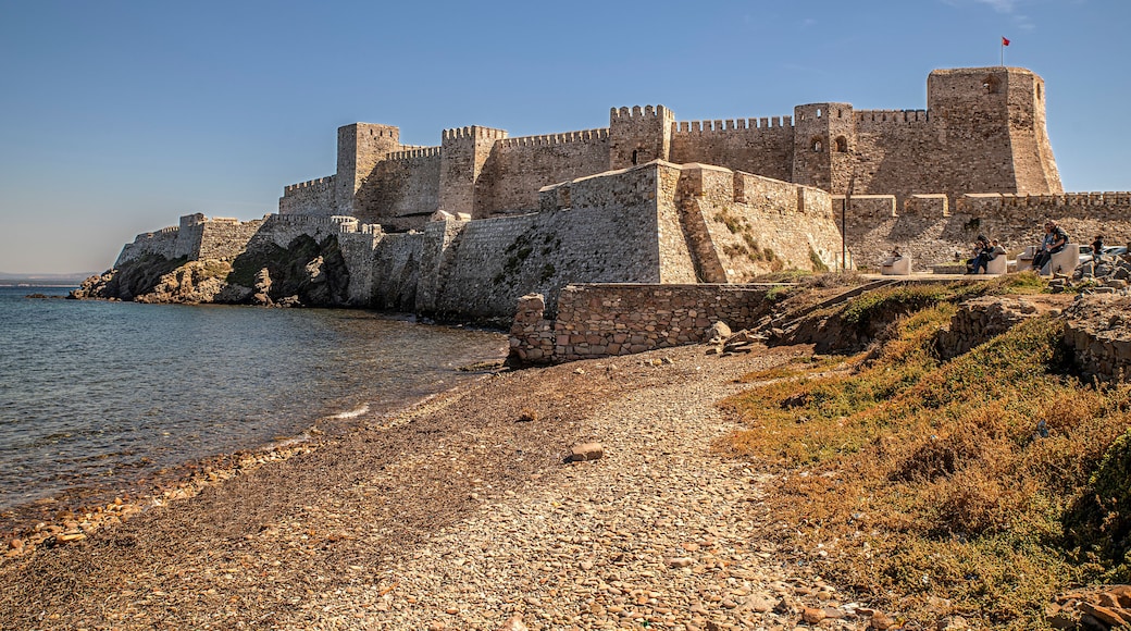 Bozcaada, formerly known as Tenedos (Τένεδος), is the second largest island in the Aegean Sea after Gokçceada. In addition, Bozcaada is the only district of Turkey that does not have a village.