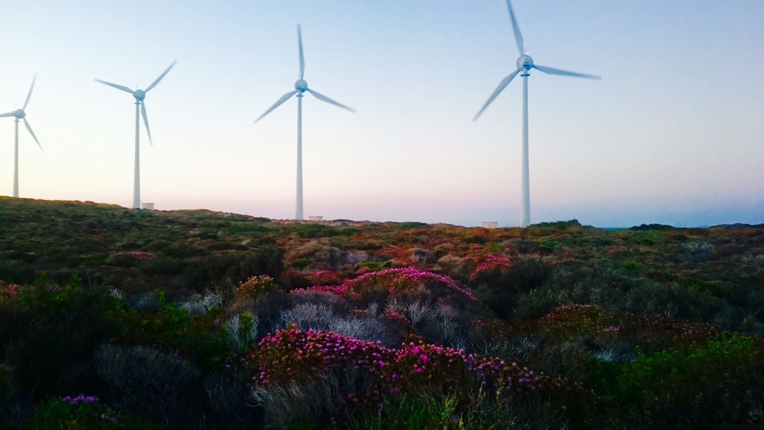 Bozcaada (Tenedos) is a wonderful vacation place, an island off the western coast of Turkey. There are lots of hidden beaches to discover without hordes of tourists. 
It's also well known for really good turkish wine.

This windmill area is excellent spot for sunset time, (there is also a lighthouse which glamourizes the view) so, don't forget to bring some wine with you! 
#hiking

