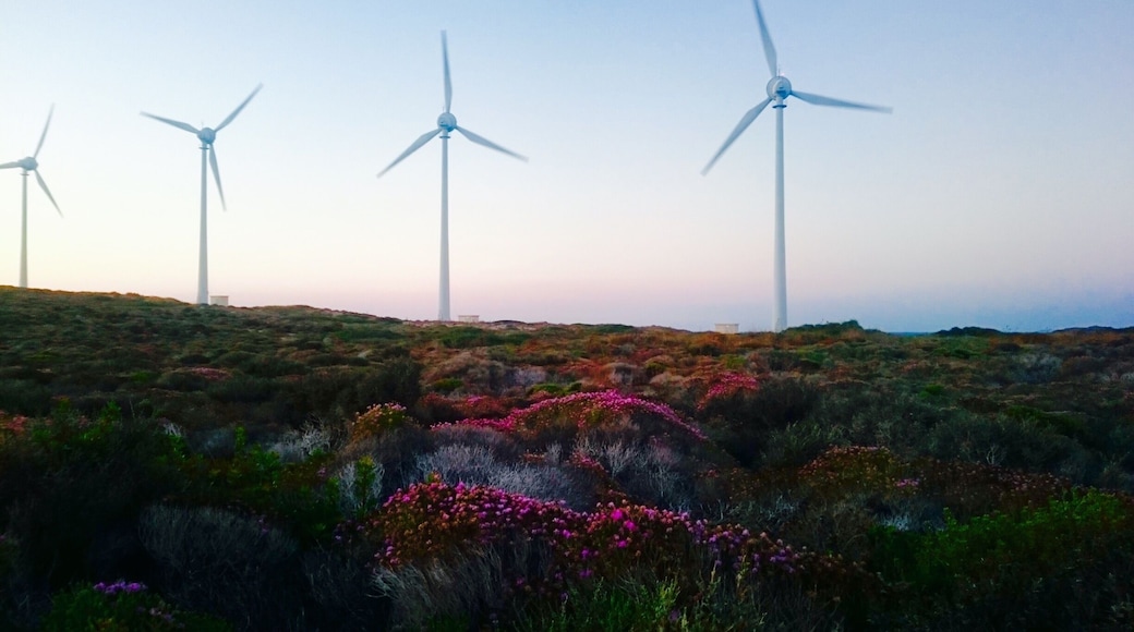 Bozcaada (Tenedos) is a wonderful vacation place, an island off the western coast of Turkey. There are lots of hidden beaches to discover without hordes of tourists.
It's also well known for really good turkish wine.
This windmill area is excellent spot for sunset time, (there is also a lighthouse which glamourizes the view) so, don't forget to bring some wine with you!
#hiking