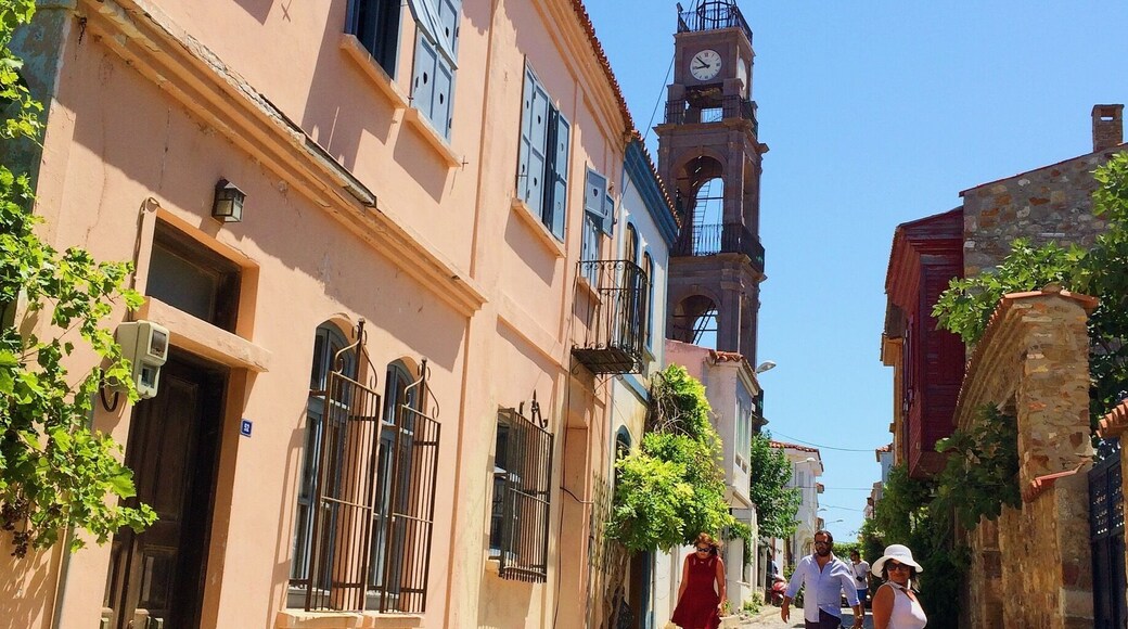 Bozcaada is a typical aegean island where you can see greek traces. There is an old church which also you can see in the picture. Houses at these narrow streets are so nice with colorful flowers in their balconies. Restaurants, shops are also very pleasing. The island is famous by its wines and you can find many home made jams that are sold by the peasants at the streets. One should spend a night and dine at the island because the ambiance at night is beautiful.The clear blue water is very cold, coves are more preferrable.Bozcaada is a quick and easy getaway from big cities( like istanbul) which overwhelm at summertimes.