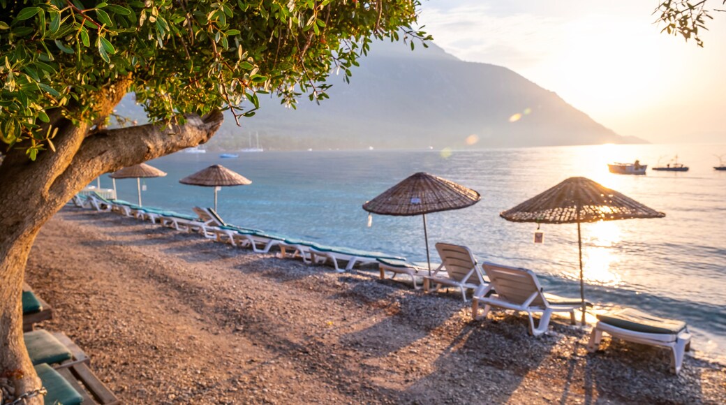 Empty wooden sun loungers and umbrellas on the beach, behind them the mountain covered with green forests, no people, Clean and clear Aegean sea Muğla - Turkey